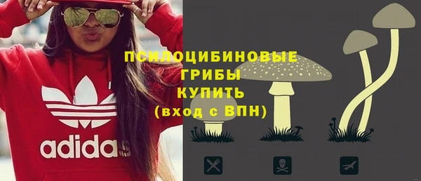 spice Медногорск