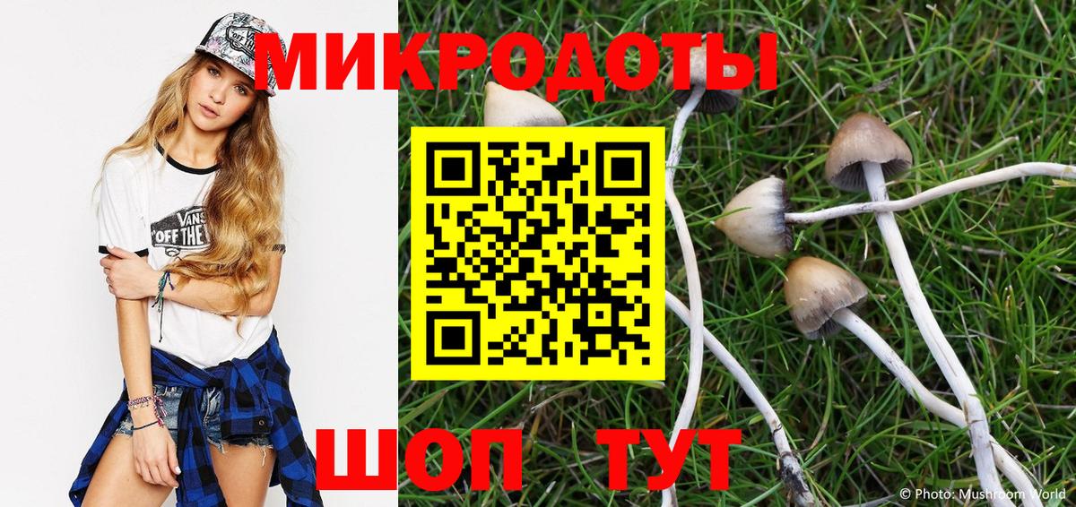 Ирбит  Псилоцибиновые грибы мицелий  Галлюциногенные грибы GOLDEN TEACHER  Вход с VPN 